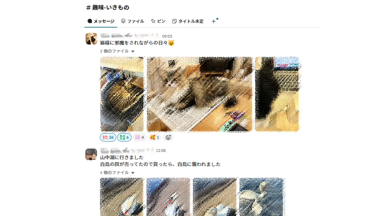 投稿
